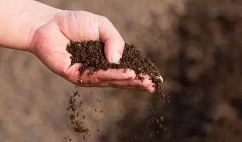 微生物肥料将成泥土生态修复主力军