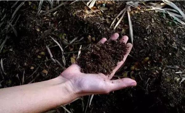泥土肥力若何区分_泥土肥料区分体例