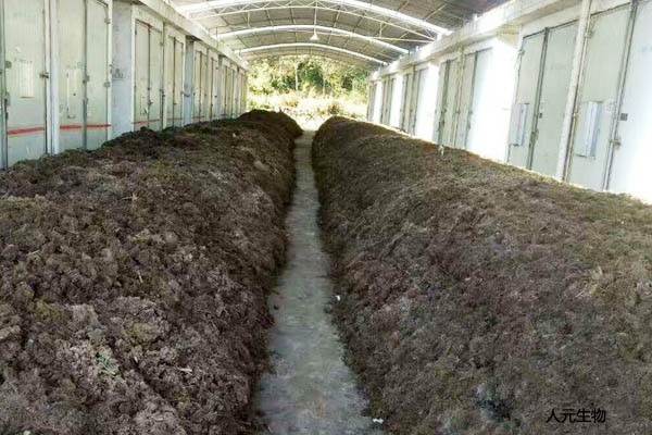 堆肥发酵制作002全讯白菜网
须要注重哪些？