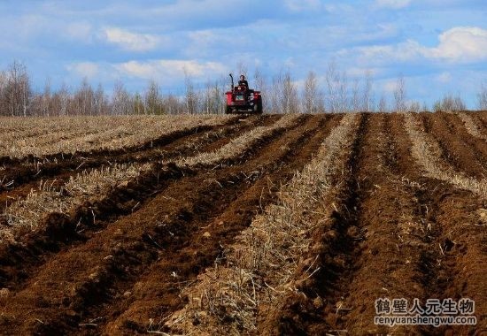 临沂：2020年单元耕空中积化肥操纵量比2015年降落16.8%