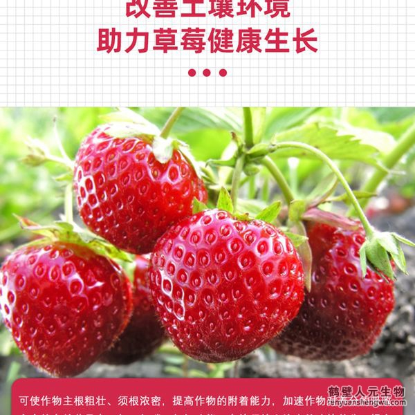 多氨豆粕菌肥系列草莓公用肥特色