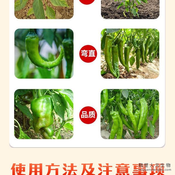 多氨豆粕菌肥系列辣椒公用肥操纵结果图2