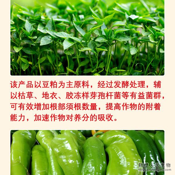 多氨豆粕菌肥系列辣椒公用肥产物特色3