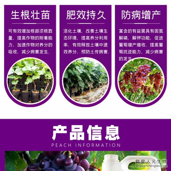 多氨豆粕菌肥系列葡萄公用肥产物特色