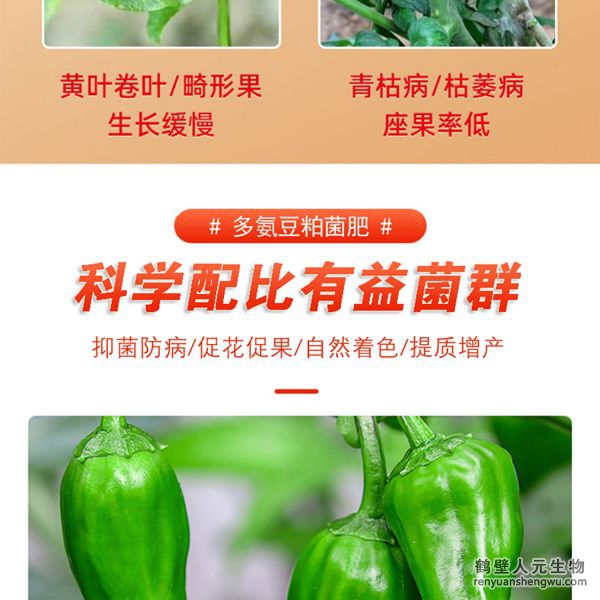 多氨豆粕菌肥系列辣椒公用肥产物特色1